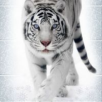 Панели ПВХ 3D Novita «Зимняя сказка Тигр» узор (комплект из 3-х панелей), эффектом мерцания
